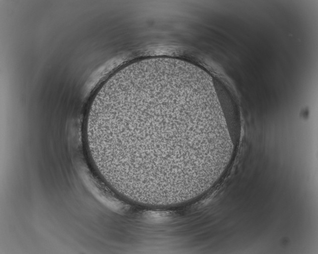 X0000116480250201001061126