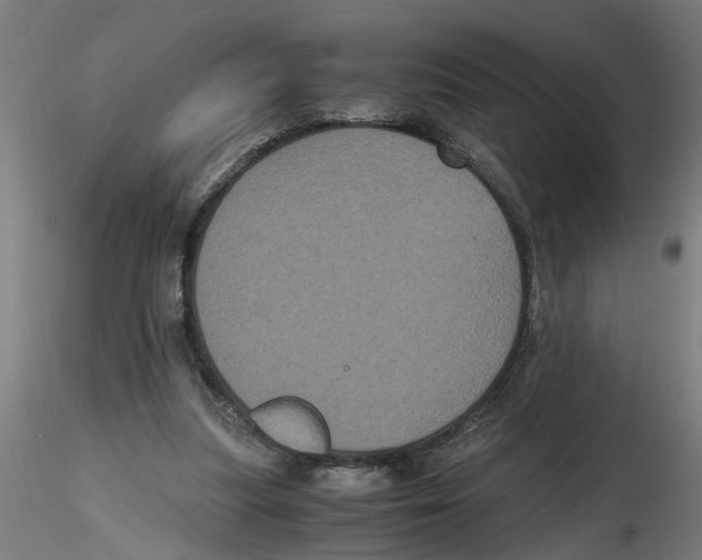 X0000116480251201001061126