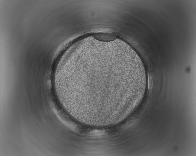 X0000116480252201001061126