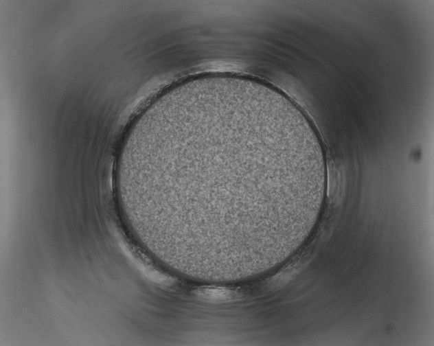 X0000116480253201001061126