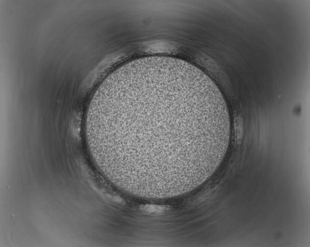 X0000116480255201001061126