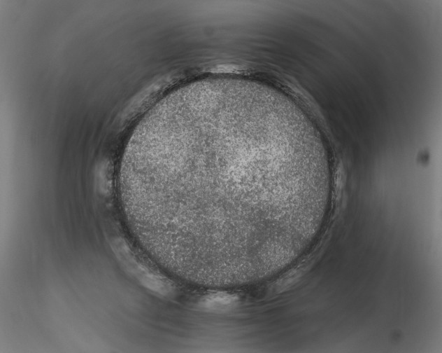 X0000116480257201001061126