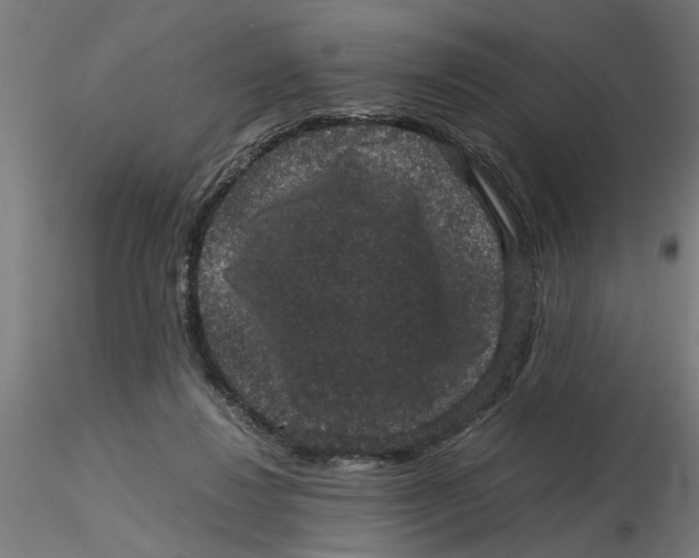 X0000116480260201001061126