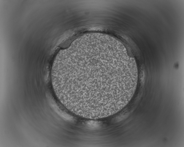 X0000116480261201001061126