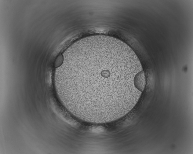 X0000116480262201001061126