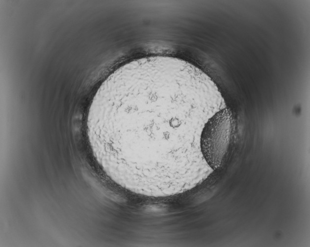 X0000116480263201001061126