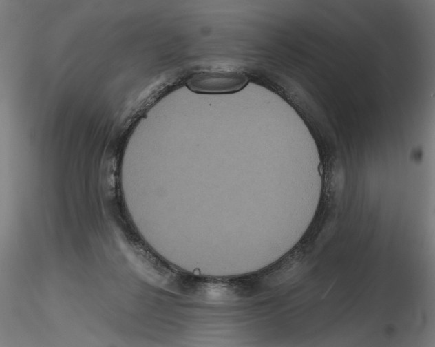 X0000116480264201001061126