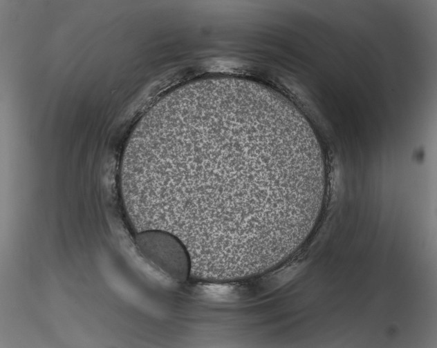 X0000116480265201001061126