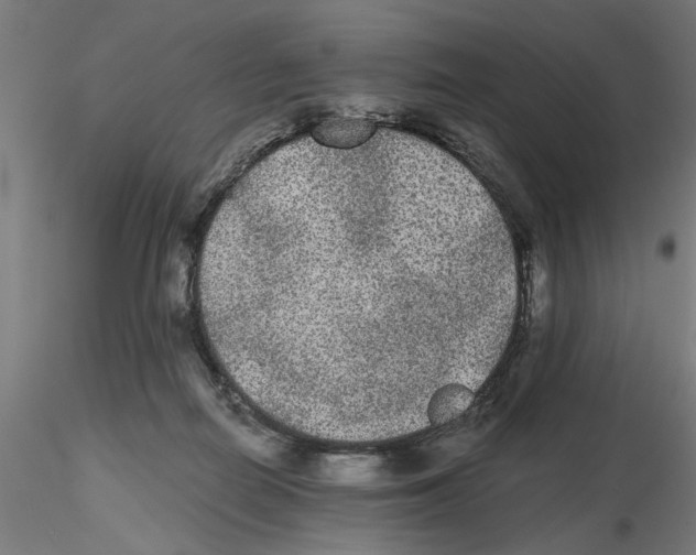 X0000116480266201001061126