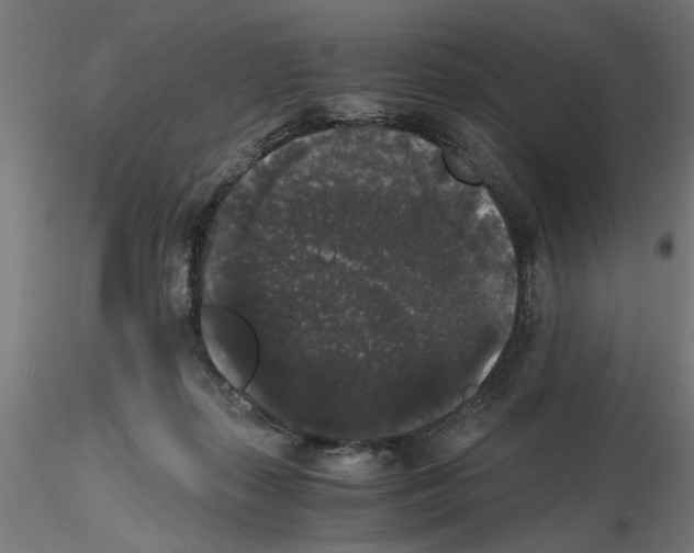 X0000116480267201001061126