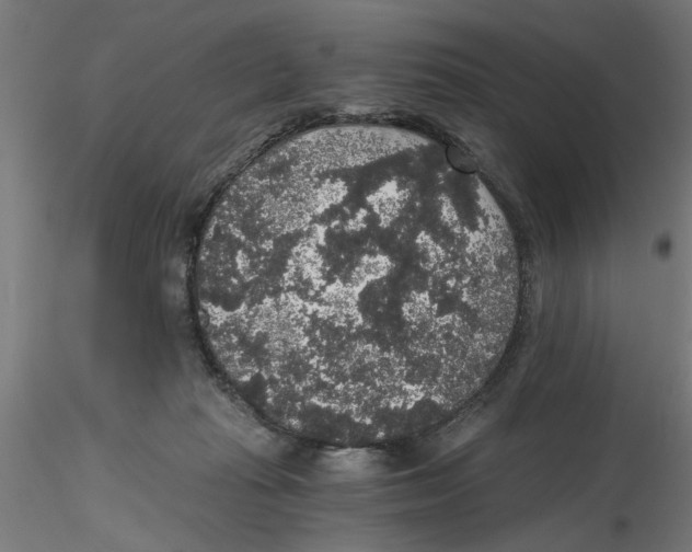 X0000116480269201001061126