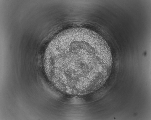 X0000116480270201001061126