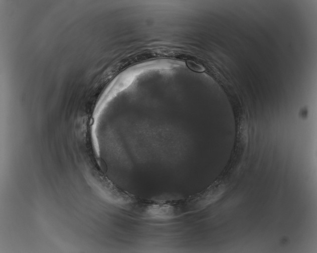 X0000116480271201001061126