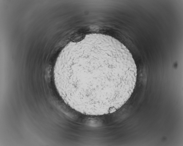 X0000116480275201001061126