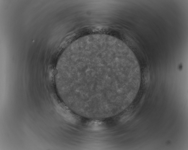 X0000116480276201001061126