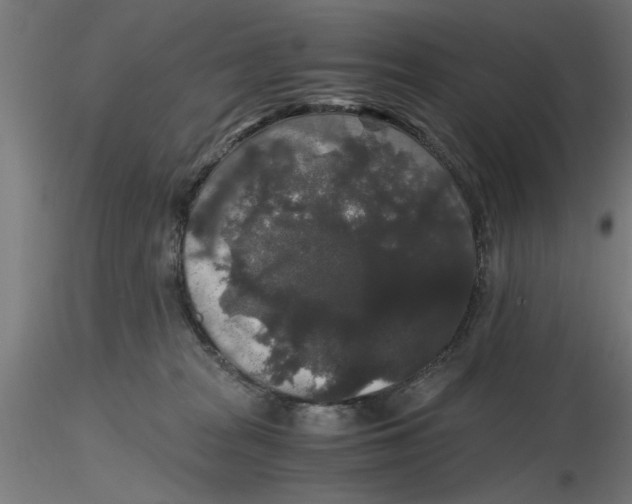 X0000116480277201001061126