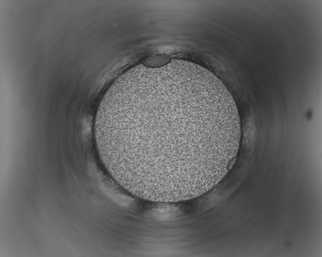 X0000116480278201001061126