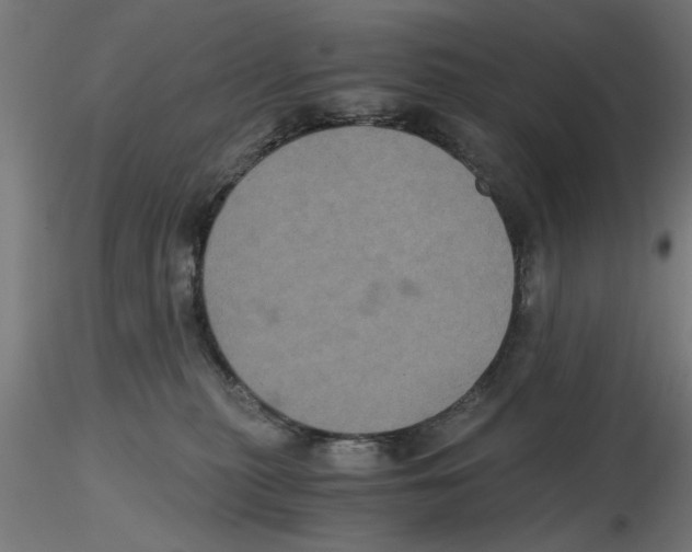 X0000116480279201001061126