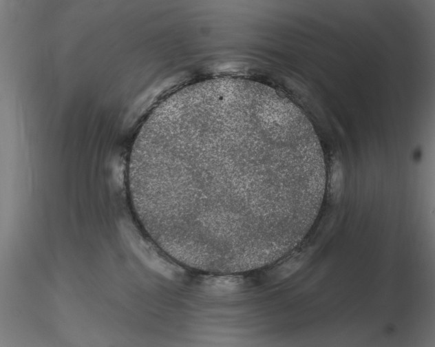 X0000116480282201001061126