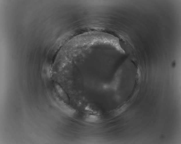 X0000116480285201001061126