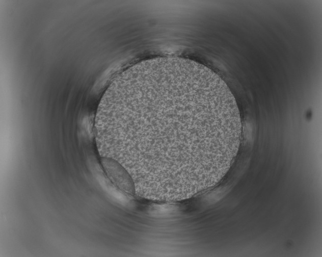 X0000116480286201001061126