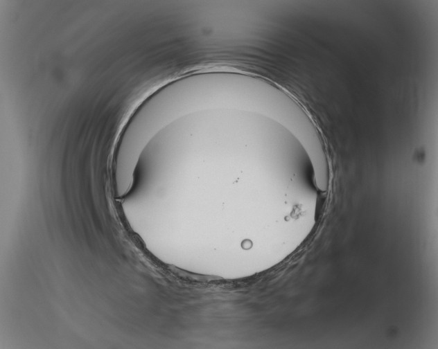 X0000116480289201001061126