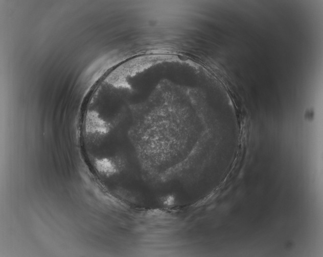 X0000116480290201001061126