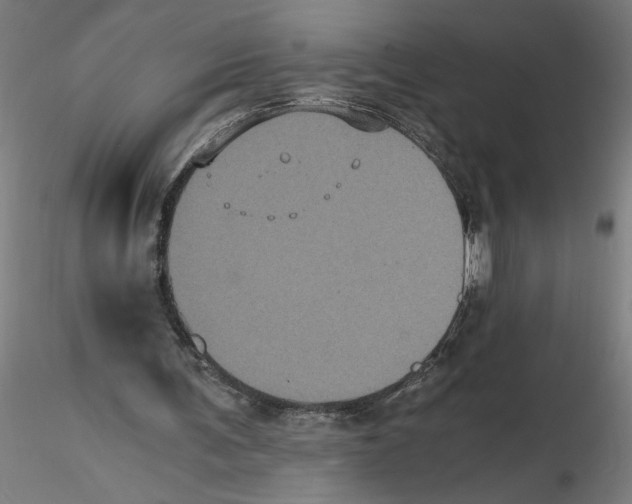 X0000116480291201001061126