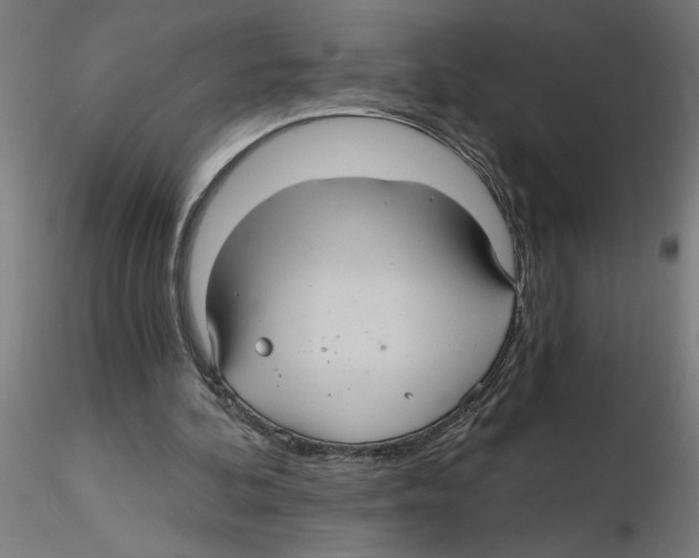 X0000116480292201001061126