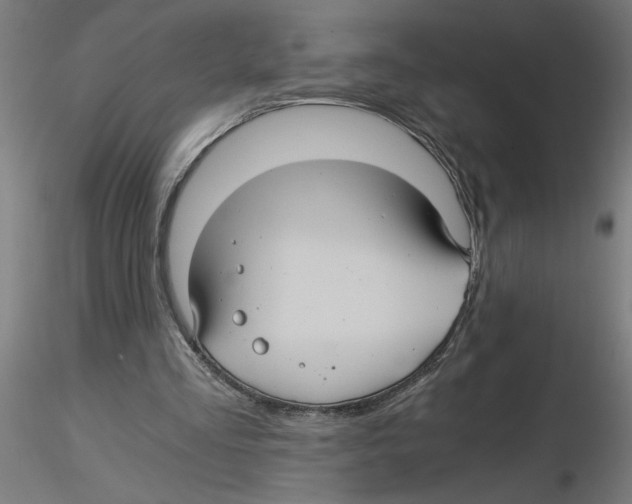 X0000116480293201001061126