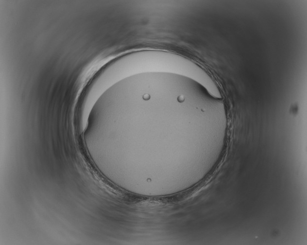 X0000116480294201001061126