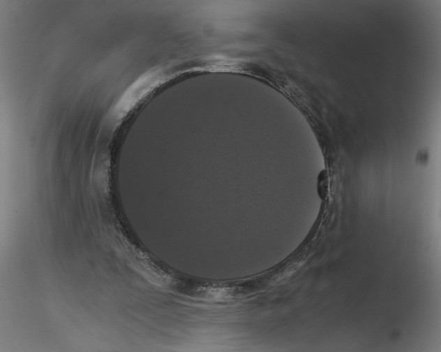 X0000116480295201001061126