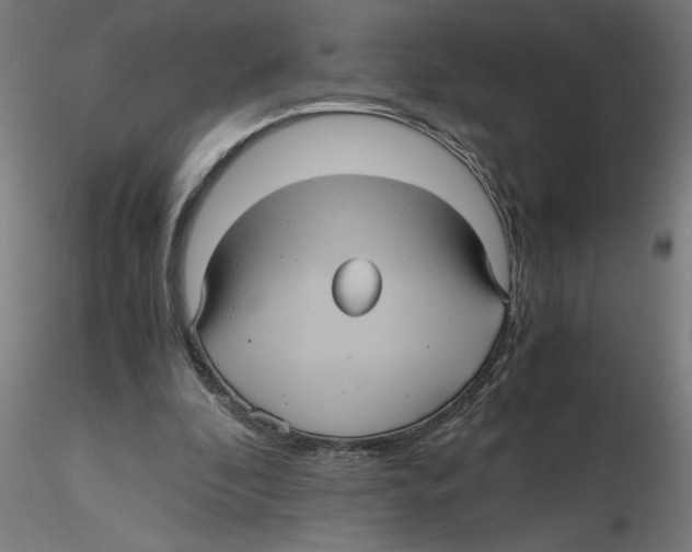 X0000116480296201001061126