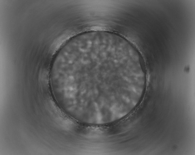 X0000116480297201001061126