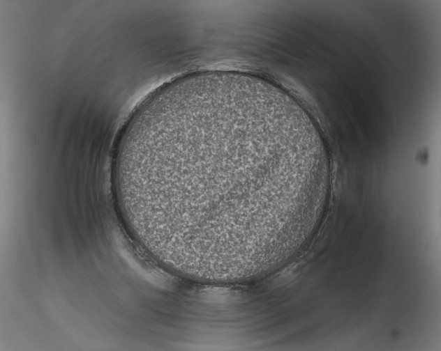 X0000116480298201001061126