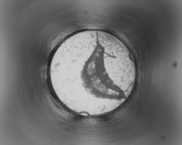 X0000116480299201001061126