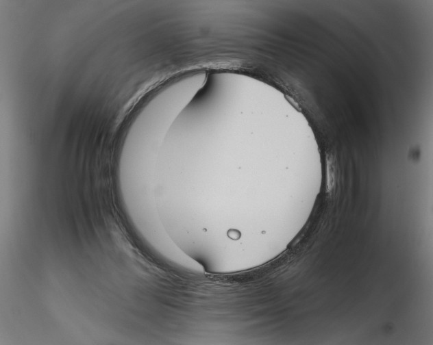 X0000116480300201001061126