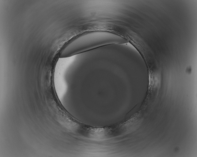 X0000116480301201001061126