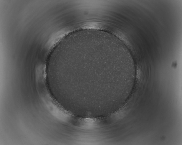 X0000116480302201001061126