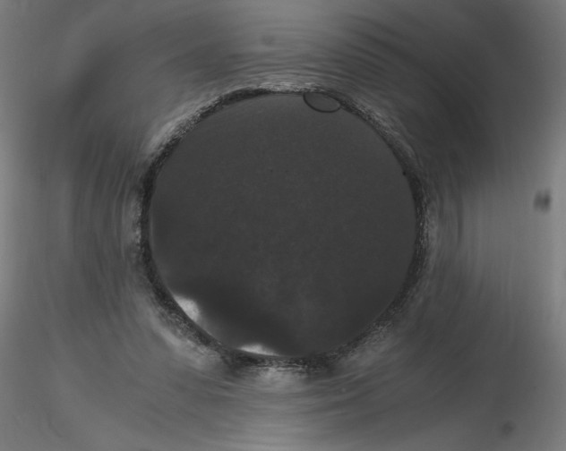 X0000116480303201001061126