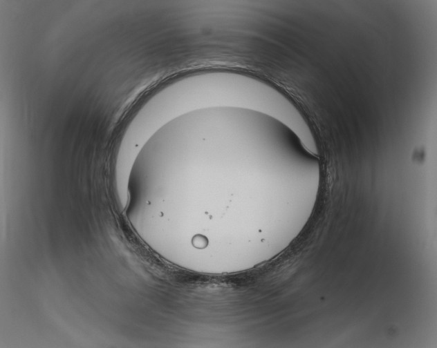 X0000116480304201001061126