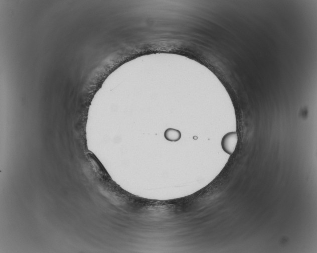 X0000116480307201001061125