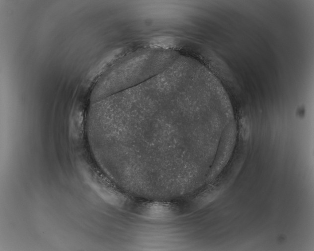 X0000116480308201001061125