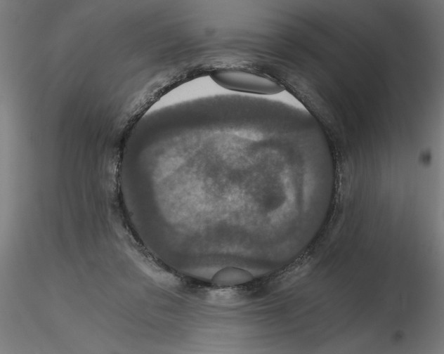 X0000116480309201001061125