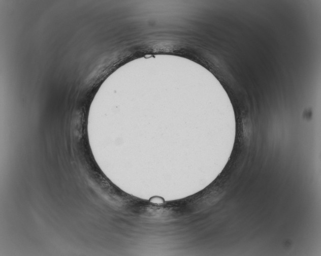 X0000116480311201001061125