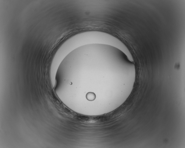 X0000116480312201001061125