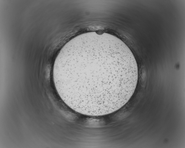 X0000116480315201001061125