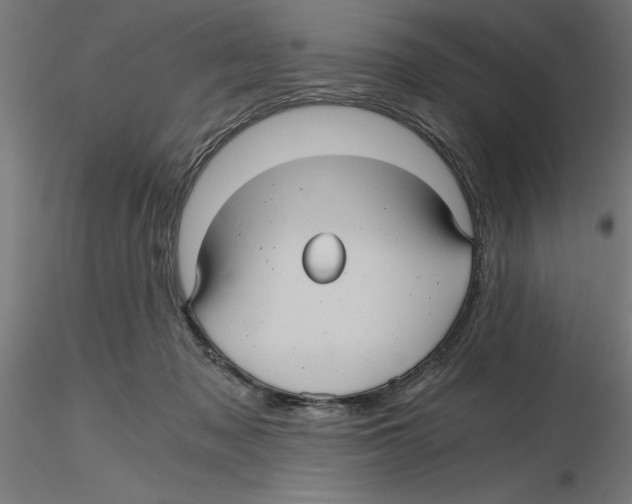 X0000116480317201001061125