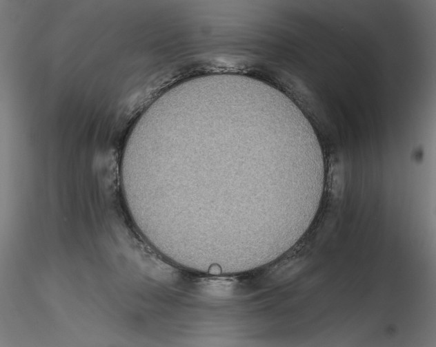 X0000116480318201001061125