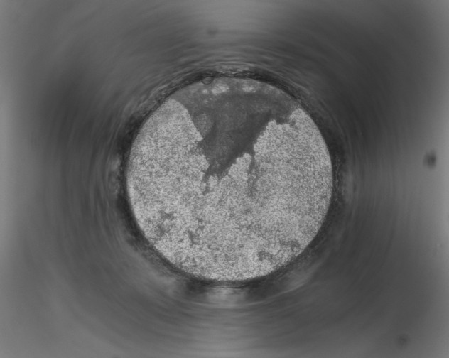 X0000116480319201001061125